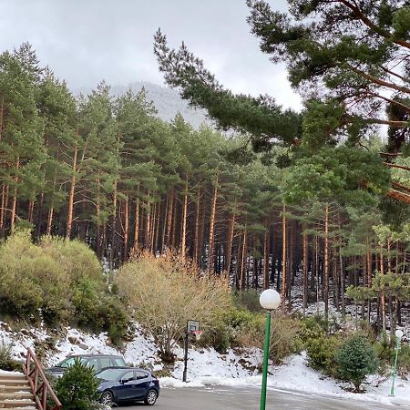 Apartamento Estacion De Esqui La Pinilla La Pinilla  Dış mekan fotoğraf